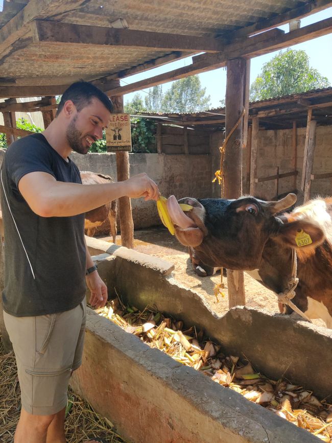 Tansania - Tag 7: Rückreise nach Arusha