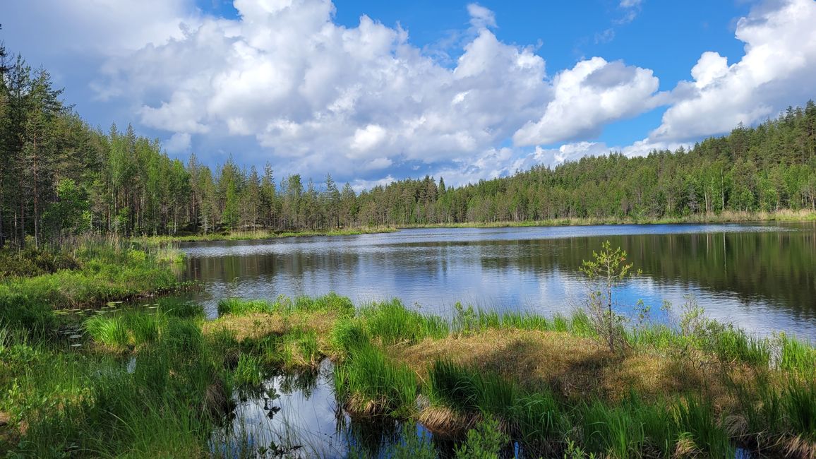 Finlandia 31 de mayo - 14 de junio de 2024/10 de junio