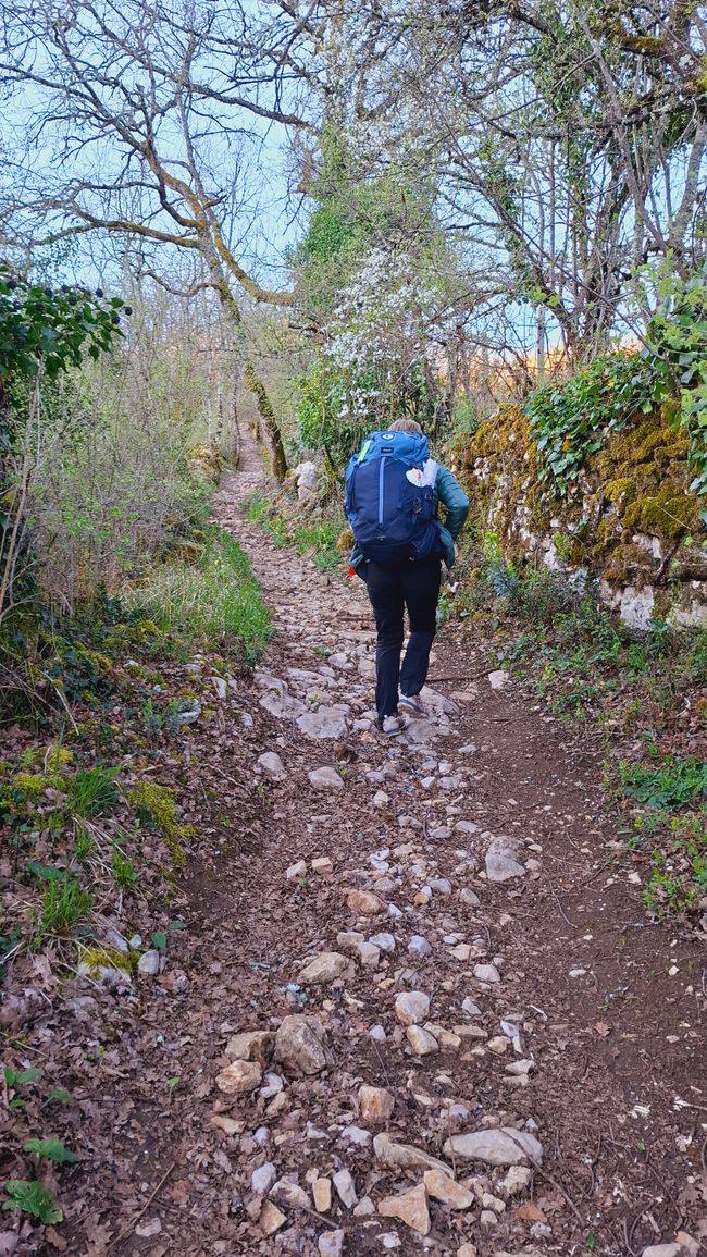 Von Figeac nach Cajarc, 32 km, wir sind verrückt! 😂