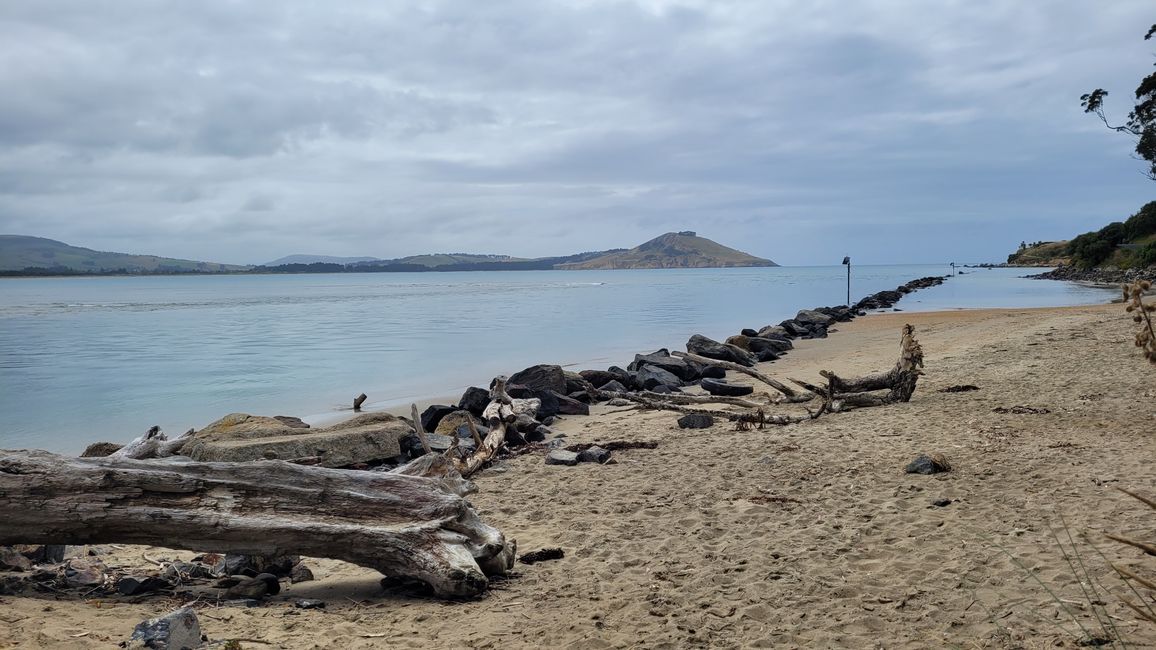 29.Januar-27.Februar 2025 Neuseeland
6.Februar