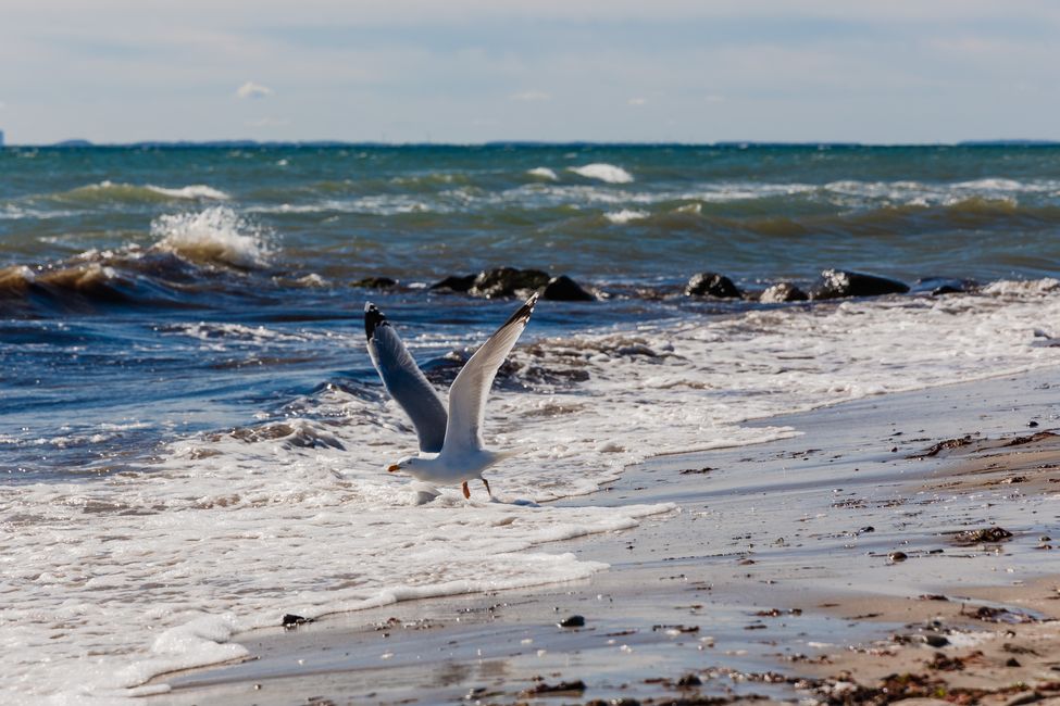 Grömitz / Ostsee