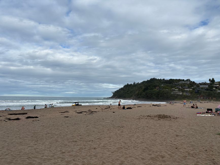 Hot Water Beach- wir werden Digger