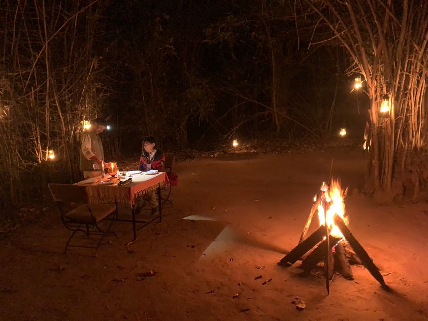 Romantic private dinner in the bush