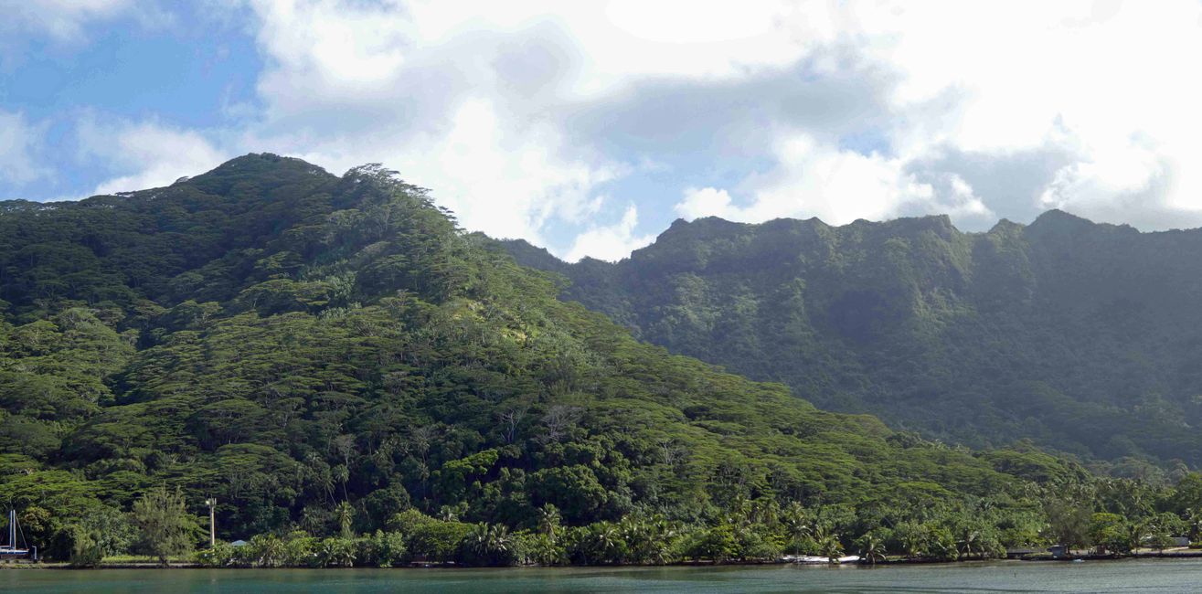 Mo orea