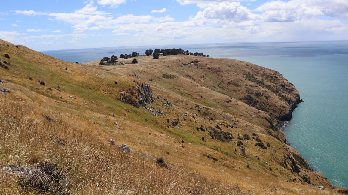 Godley Head Loop Track