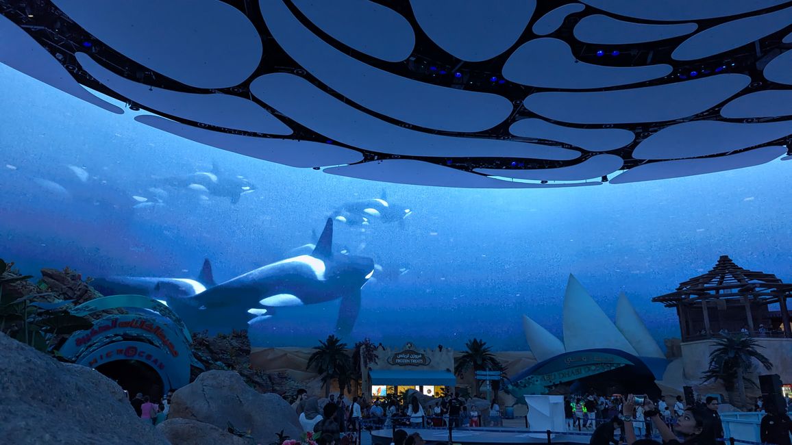 Étiquette 4 - (Abou Dabi) Sea World