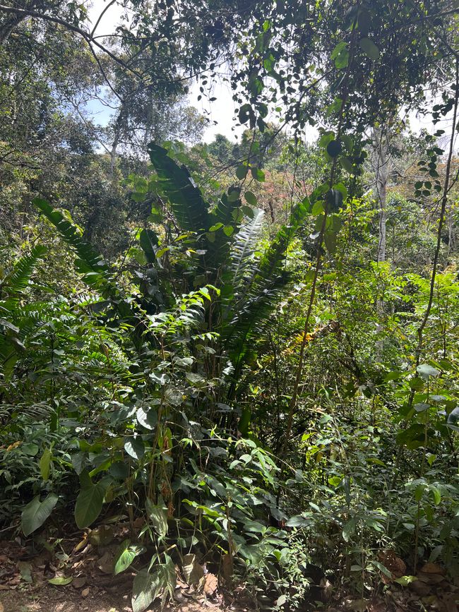 Les chemins étaient aussi jolis que proches de la nature 