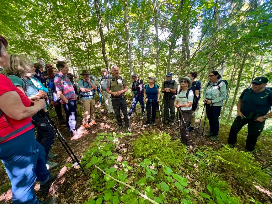 28 Wutachschlucht Pro Wolermoos