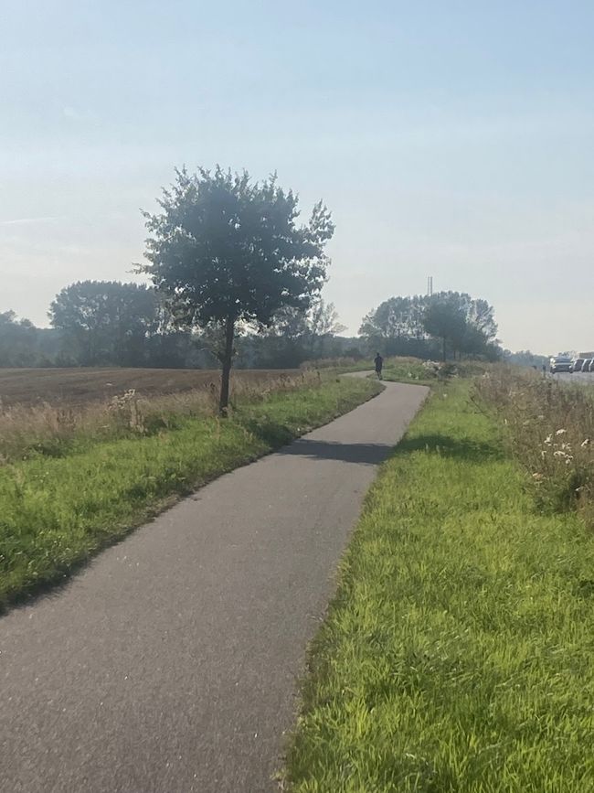 noch bin ich hinter dem Jogger