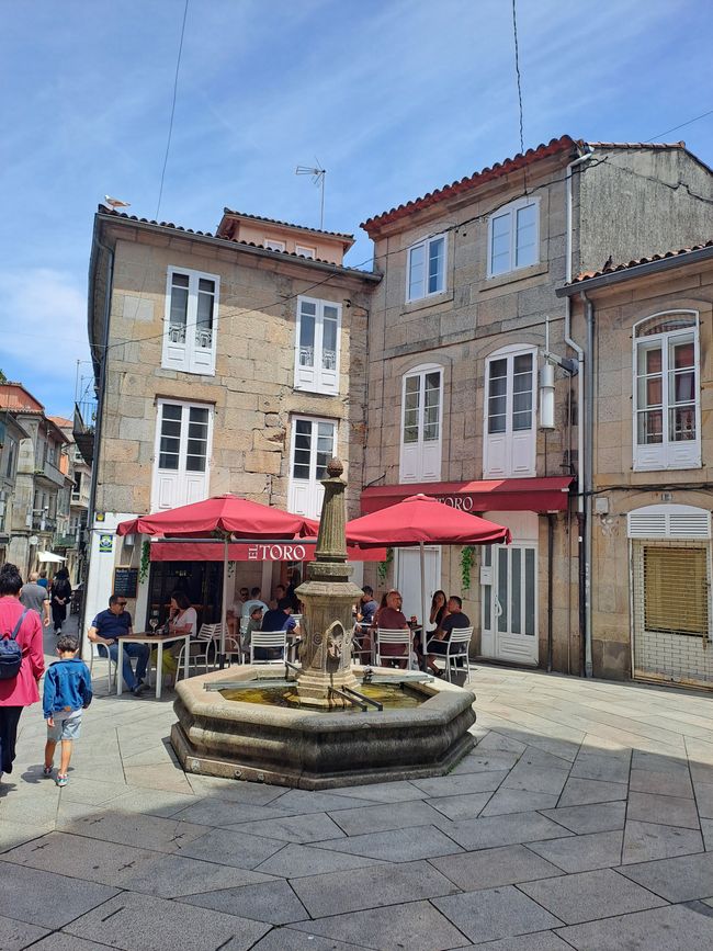 10. Etiqueta: Pontevedra y descanso