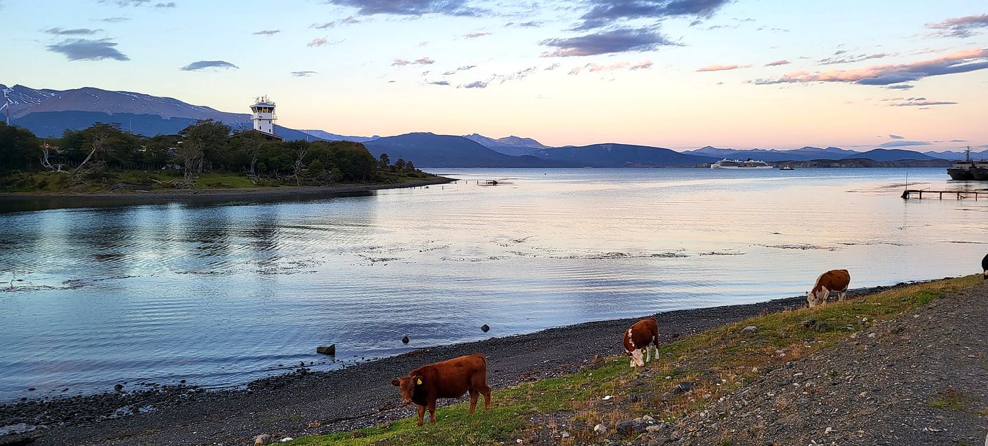 Bei Oswaldo und Carlos