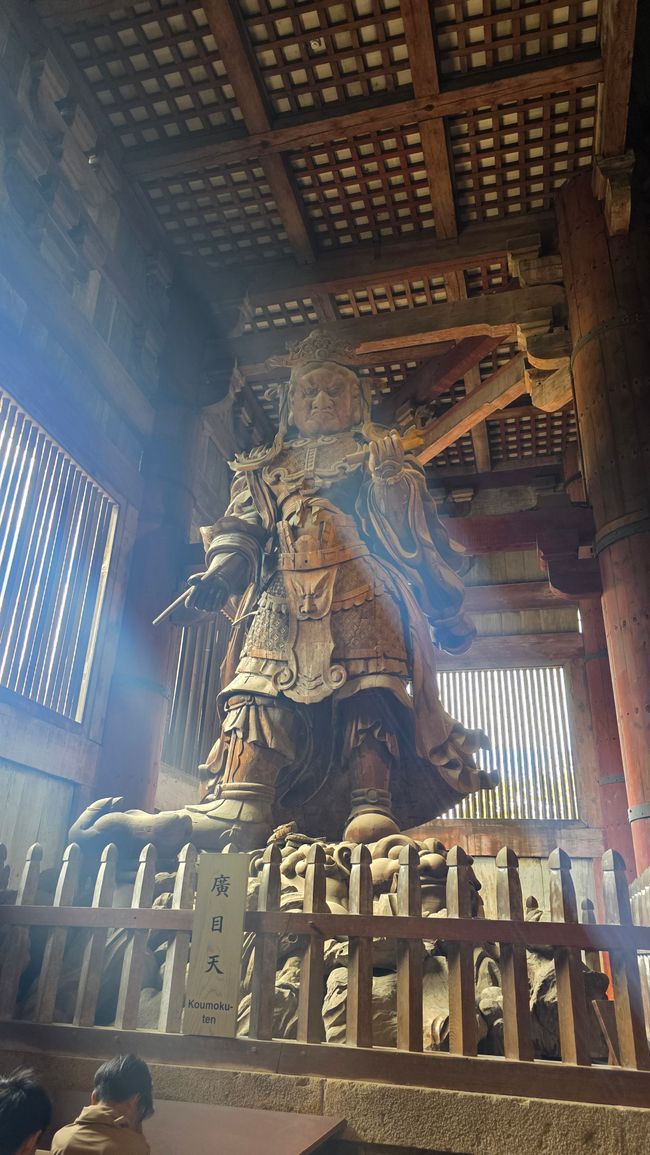 Osaka 'kuidaore' ➡️ mangiare fino a cadere