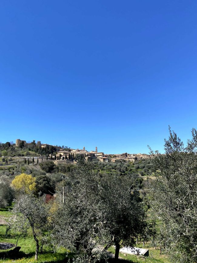 Tuscany Tour - Stop 3: Wine Tasting in Montalcino