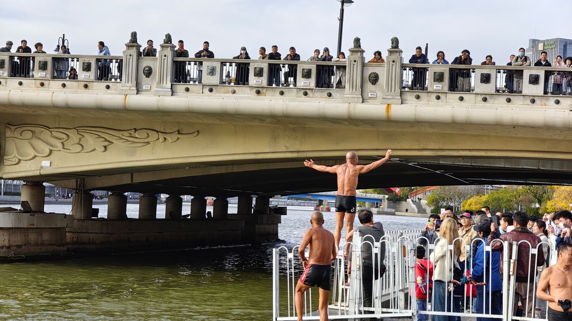 Schwimmer im Hai Fluss