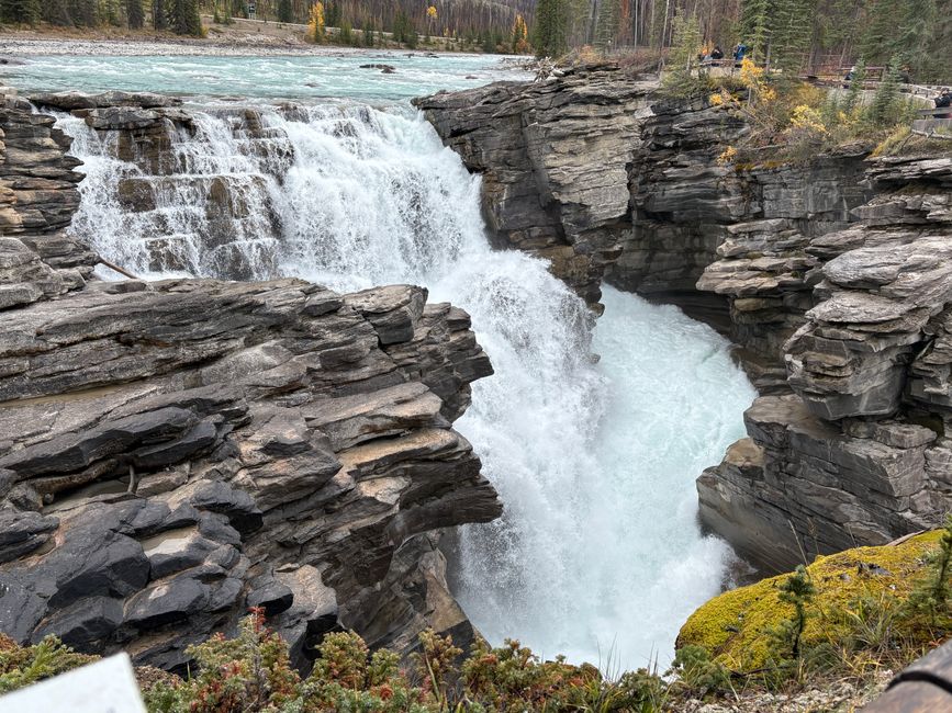 Tag 12 - 🏔️ Wasserfälle, Wetterkapriolen & Wellness – ein (fast) perfekter Tag in Jasper