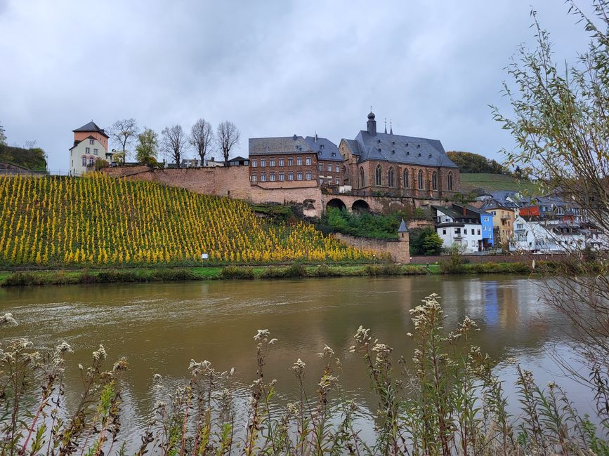 Blick auf Saarburg
