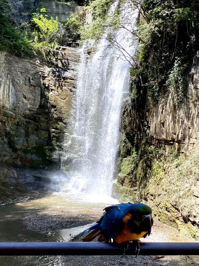 La cascata alla fine del Canyon