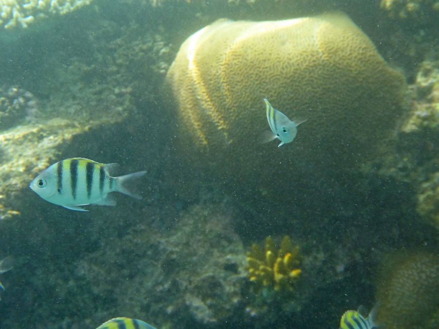 Yasawa-Inseln, Fidschi