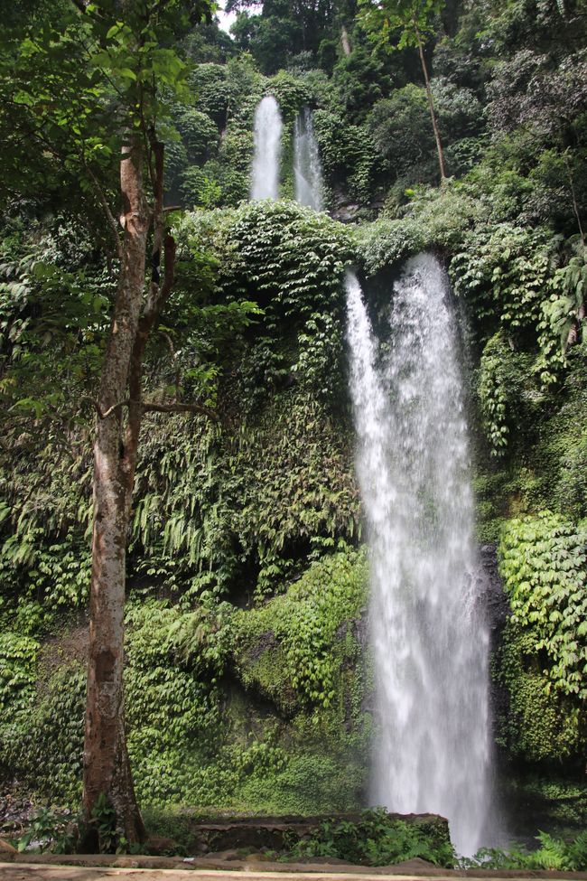 Etiqueta 16: En camino por Lombok