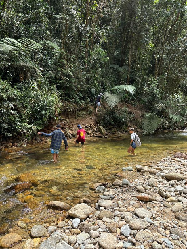 Semaine 26-28 : Au revoir, Colombie