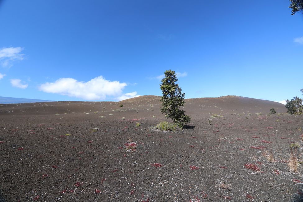 Wir besuchen den Kilauea Vulkan