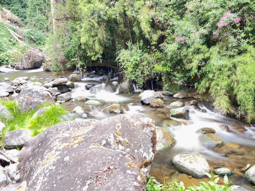 Trogon Lodge -direkt im Paradies 