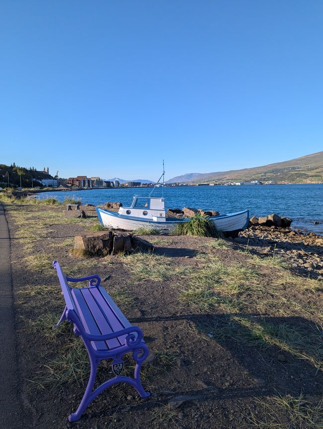 A Hitchhiker's Guide to Iceland