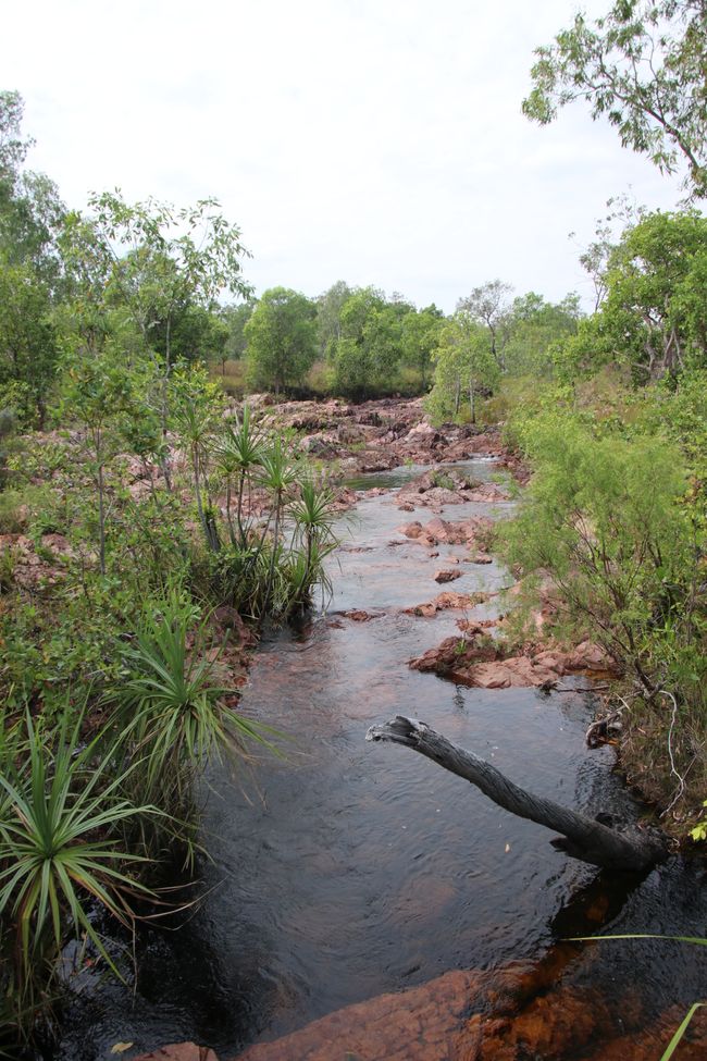 Day 27: On the road in Litchfield National Park