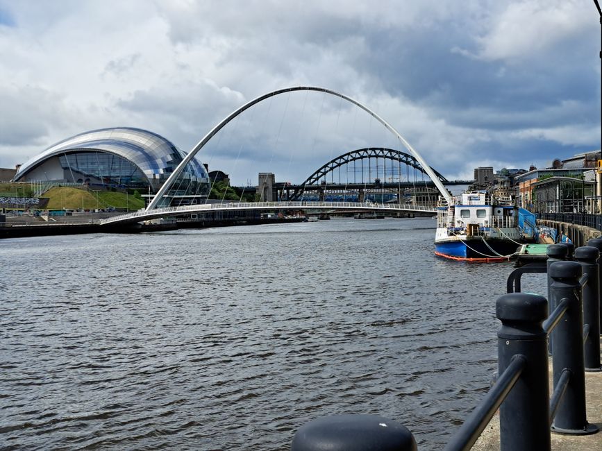 Newcastle