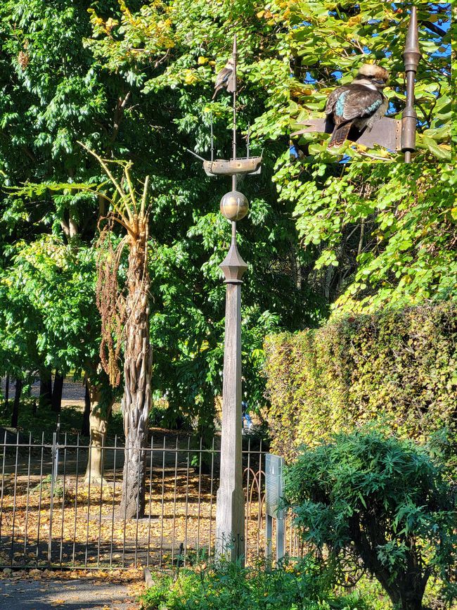 Giardino della casa dei genitori di James Cook