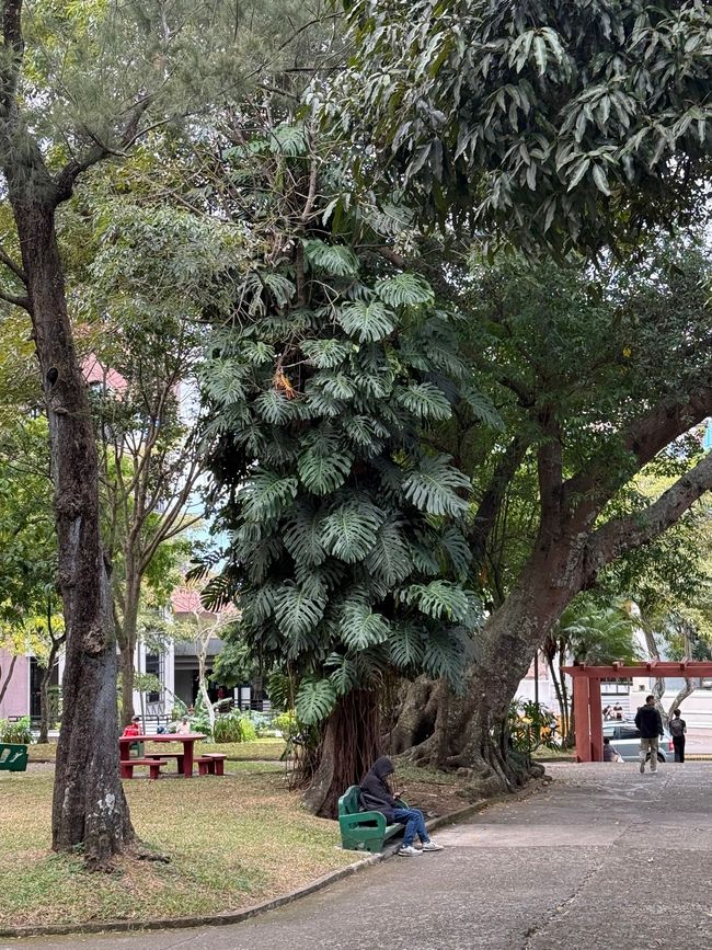  Im Parque Nacional
