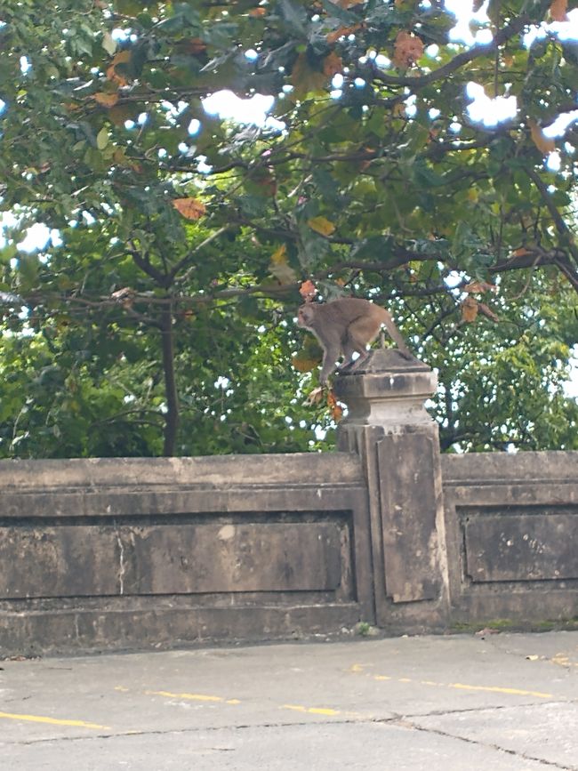 Hoi An (2) und Da Nang