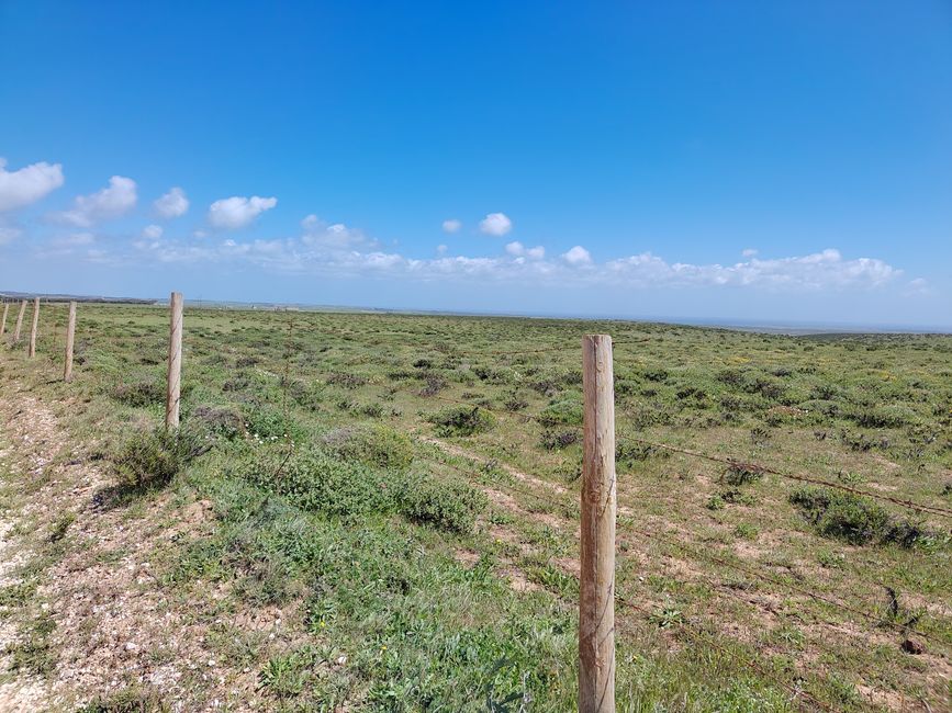 Sagres -> Vila do Bispo