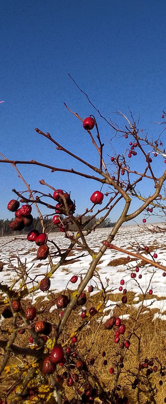 Reset - Neve di ieri, o quale fondamento vuoi costruire?