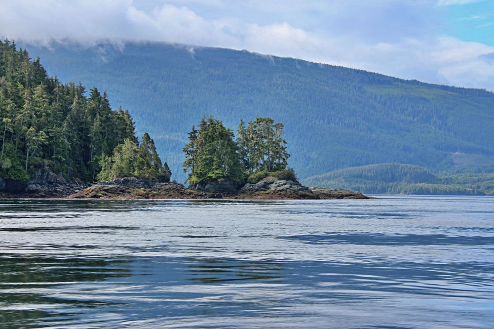 Seasmoke Whale Watching Tour