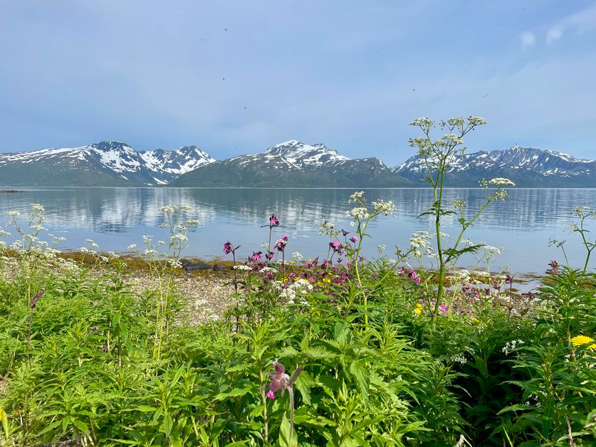 Day 5 - Cycling and hiking (almost) to Ullstinden