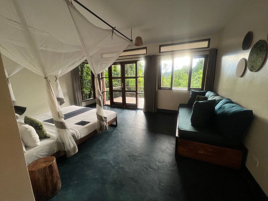 Reise zu den Turaco Tree Tops