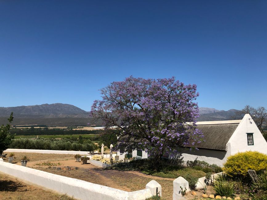 Modderfontein Farm