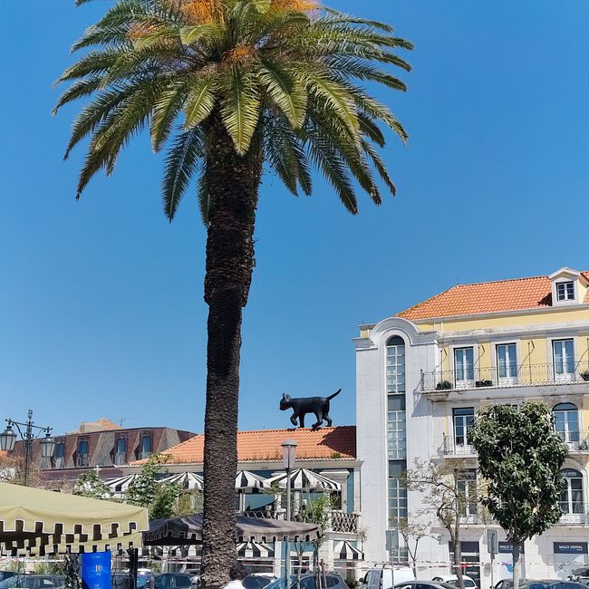 Setúbal