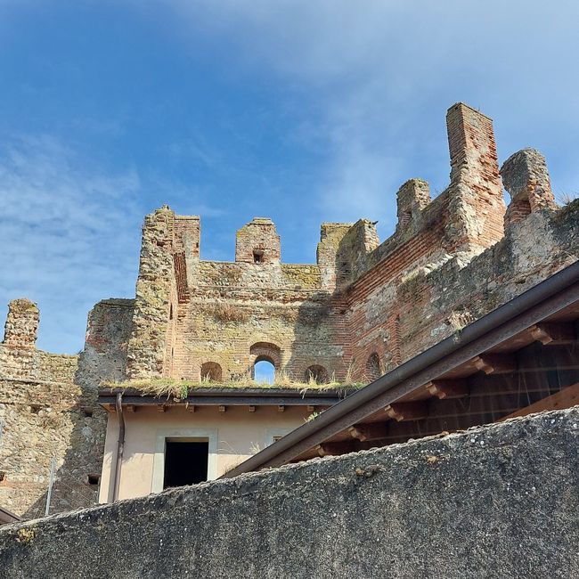 Lazise