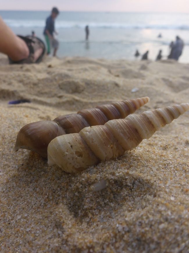 纪念品