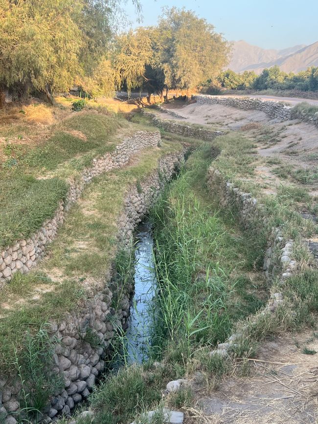 👷♂️Tag 30, 06.11.
Nazca: Gli acquedotti di Cantalloc