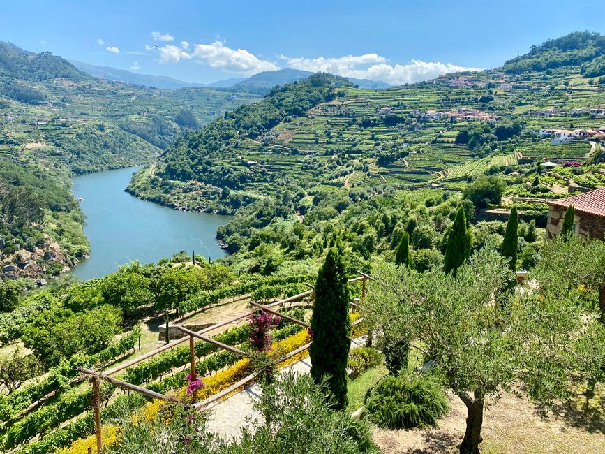 In blazing midday heat, we hike through the vineyards