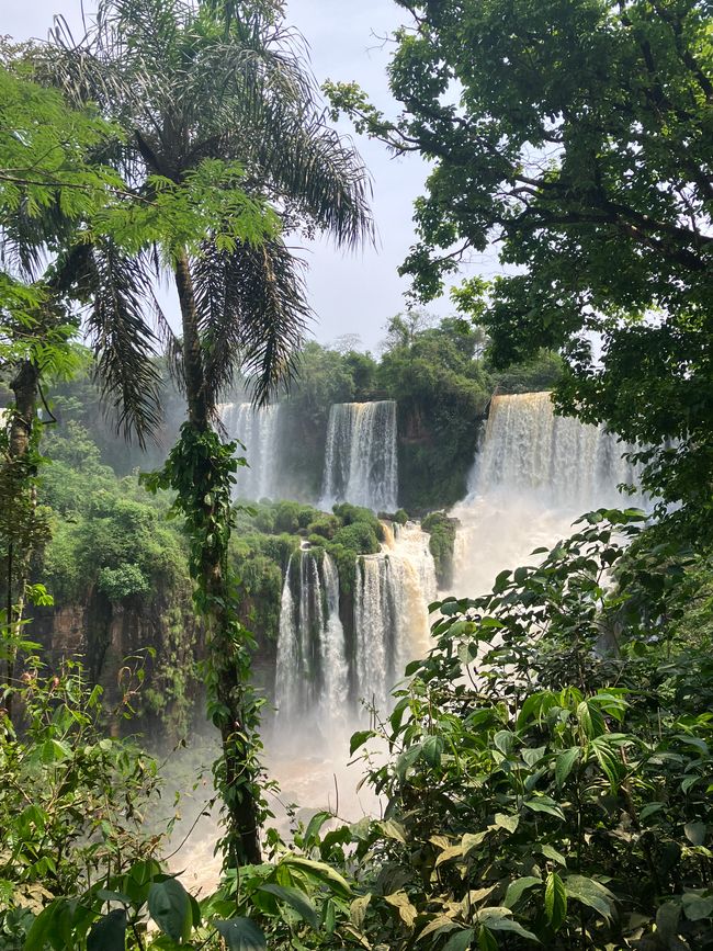 Iguazú Wasserfälle