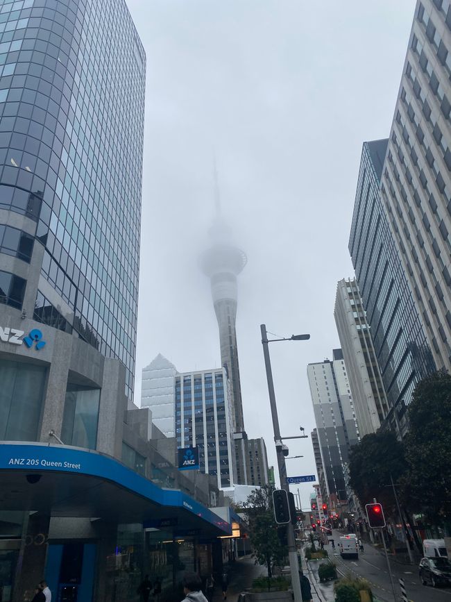 Auckland numero 1