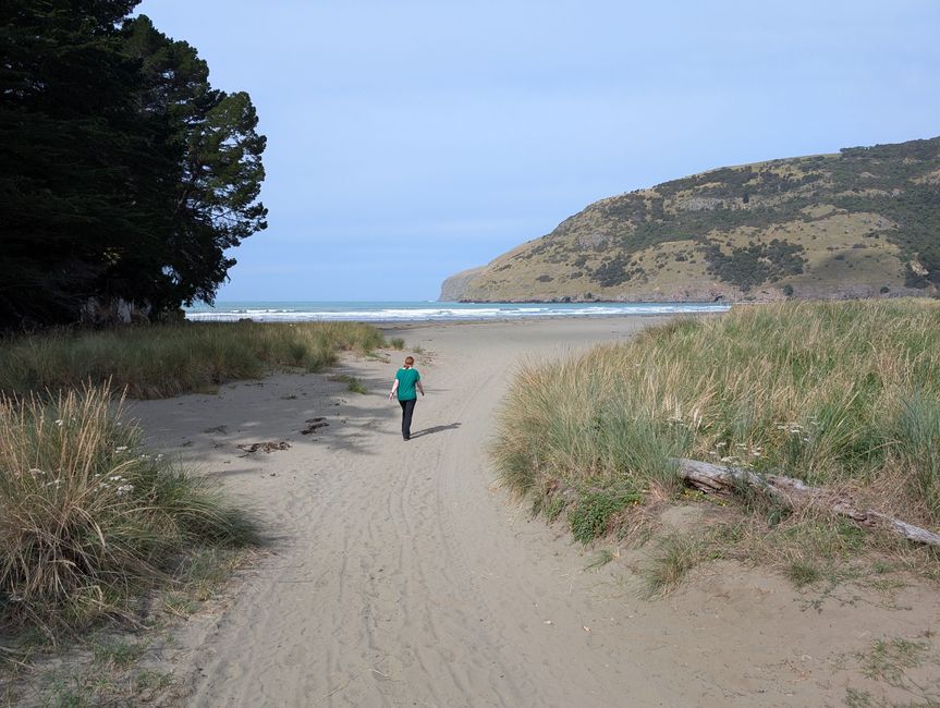 Ostteil Banks Peninsula