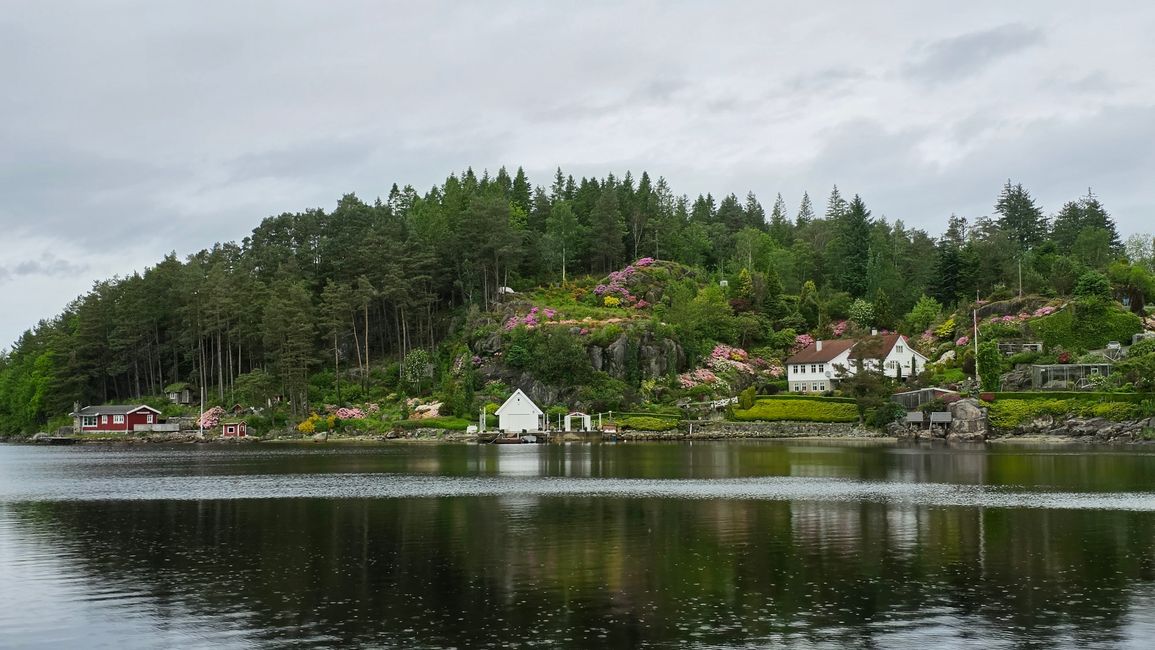 Isola Runde-Sud Norvegia
12 Giugno