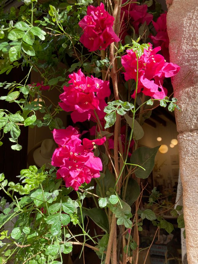 In Soller …finde ich den Mann für‘s Leben