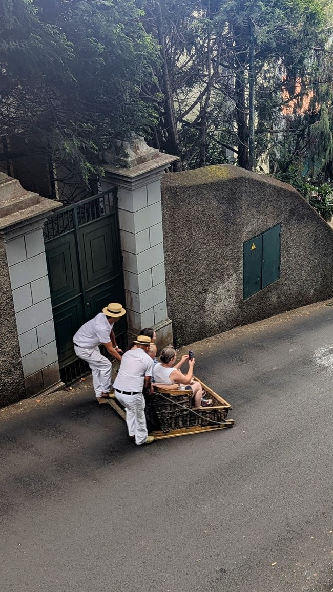 Tag 9: Funchal - mit einer rasanten Schlittenfahrt