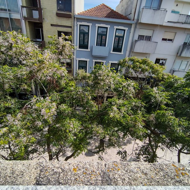 Espinho